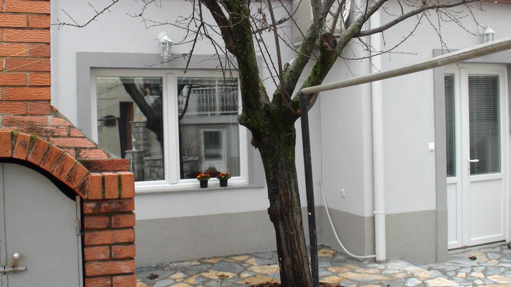 Villa Metulevi Ohrid Exterior foto